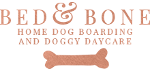 Bed Bone dog boarding and daycare logo
