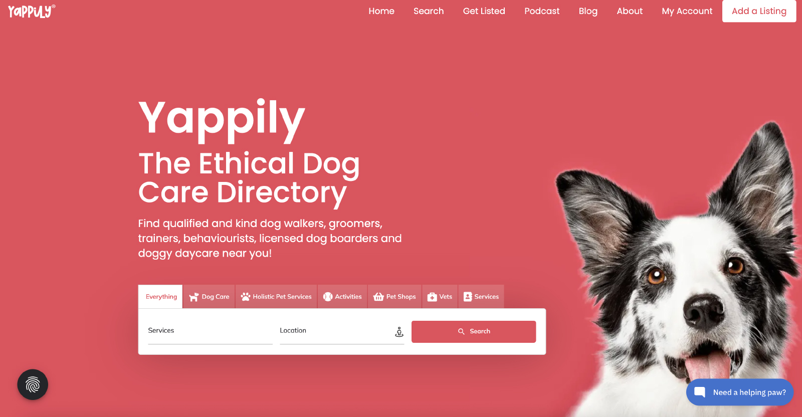 A friendly dog against a vibrant pink background, promoting a directory for dog care services.